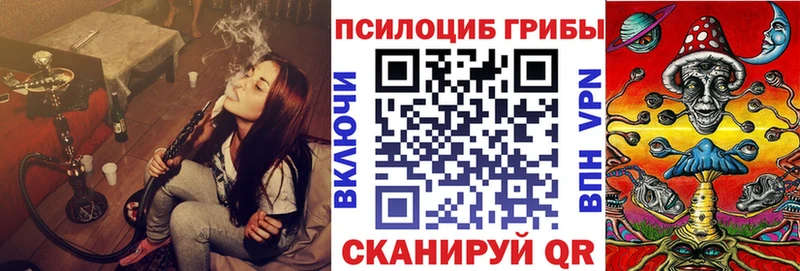 Галлюциногенные грибы Psilocybe даркнет как зайти Луза