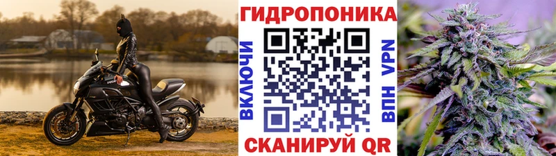 Канабис сатива  Луза 